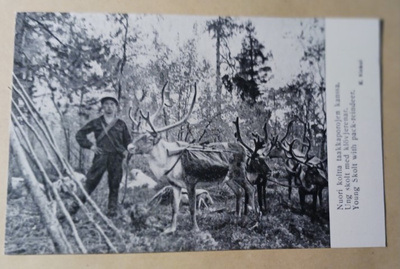 Nuori koltta ja taakkaporoja, mv pk, ei p.
