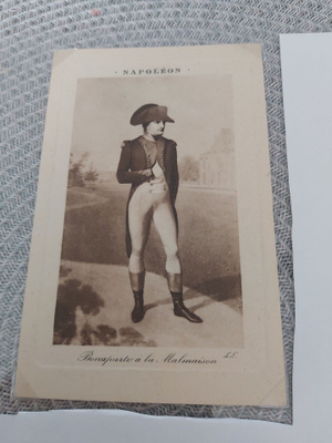 Napoleon kortti