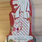 Peltirasia taste of Singapore - pikkukuva 4