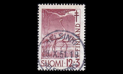 397 o Tuberkuloosi Kurki loisto 19.X.51 (1951)