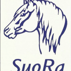 kortti **/° Hevonen - erilaisia piirroskortteja - pikkukuva 3