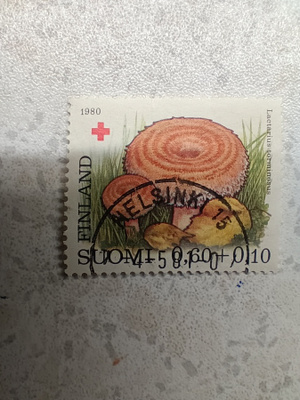 Postimerkki Punainen Risti loistoleima