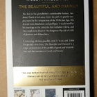 F. Scott Fitzgerald - The Beautiful and Damned - pikkukuva 2