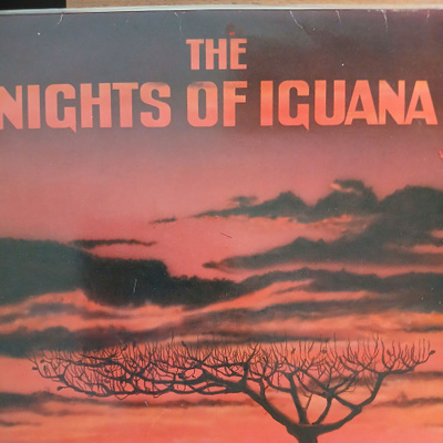The Nights Of Iguana : Grapefruit Tree.