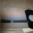 Kahlaajatyttö - Kim Kuusen lauluja - LP - pikkukuva 2
