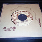 7" Kari Peitsamon Skootteri : Rock'n'Roll is here to stay - pikkukuva 1