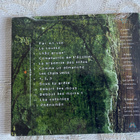 L'herbe Folle : Au 12+1 (CD) - pikkukuva 2