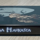 Legenda haukasta (1985) Matthew Broderick, Rutger Hauer - pikkukuva 3