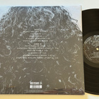 Ian Gillan (DEEP PURPLE) - Toolbox (LP) - pikkukuva 3
