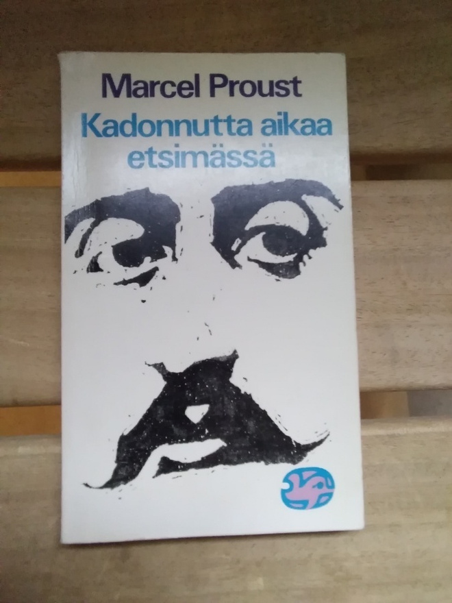 Proust: Kadonnutta aikaa etsimässä; Swannin tie/Combray
