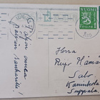 Kaksi kissaa leikkii lyhtykoisokimpulla, p. 1947 - pikkukuva 2