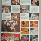 101 Dalmatiankoiraa julistelehti - Aku Ankan erikoisnro 1979 - pikkukuva 5