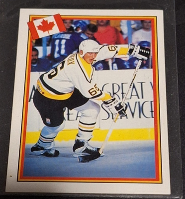 1993 Semic Hockey World Championships Finnish Back Mario Lem