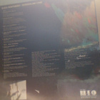 ILKKA RANTAMÄKI :: BORDERLINE CASE :: VINYYLI LP 1987 - pikkukuva 2