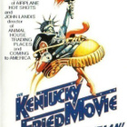 The Kentucky Fried Movie  -  DVD - pikkukuva 1
