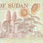 Sudan 5 Dinars 1993 P51 #520 - pikkukuva 2
