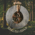 Raido ~ Riimujen viisaus -riipus - pikkukuva 1