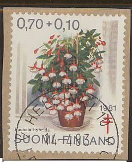 1981 tub 70p loisto HELSINKI -83