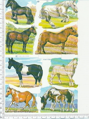 *MLP 1665, hienot hevoset -arkki *