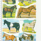 *MLP 1665, hienot hevoset -arkki * - pikkukuva 1