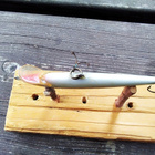 Rapala floating  Ireland 8cm - pikkukuva 4