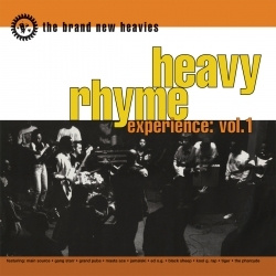 The Brand New Heavies - Heavy Rhyme Experience: Vol. 1 (CD)