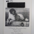 Landseer vuosikerta 1995 (1-4) - pikkukuva 2