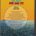 Jake Nyman : Aution saaren levyt - pikkukuva 2