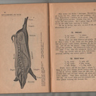 Lilla kokboken, P.A Norstedts & Söner. 1917, 8.uppl, inb, K3 - pikkukuva 3
