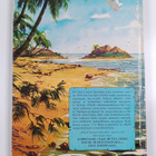 Daniel Defoe : Robinson Crusoe : Jane Carruthin kertomana - pikkukuva 2