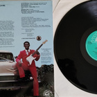 Lucky Peterson - Lucky Strikes vinyyli lp - pikkukuva 2
