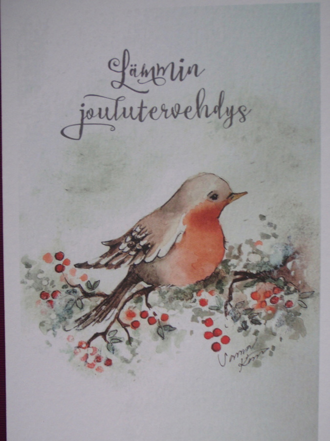 Sanna Kärki punarintainen lintu oksalla