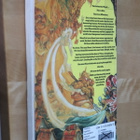 Terry Pratchett (Illustrated by Josh Kirby) : Eric (engl kp) - pikkukuva 2