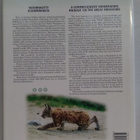 Suurpetomme karhu, susi, ahma, ilves 1.p (sid.) - pikkukuva 4