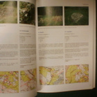 PÄIJÄT-HÄMEEN KIINTEÄT MUINAISJÄÄNNÖKSET (2008) Sis.pk:t - pikkukuva 4