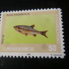 Makedonia kalat - pikkukuva 2