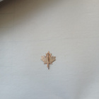 Canada pinssi - pikkukuva 2