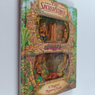 The sacred stone : a magical mystery book - pikkukuva 1