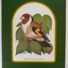 Taidejuliste/art print, 3 kpl lintuaiheisia, Folke Hallin - pikkukuva 2