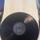 Mick Fleetwood: The Visitor LP - pikkukuva 4