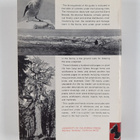 Robert Leslie Usinger : Sierra Nevada Natural History - pikkukuva 2