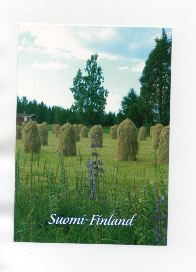 "HEINÄSEIPÄÄT PELLOLLA" -KORTTI /Suomi Finland