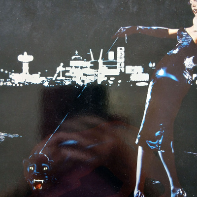 Roxy Music : For Your Pleasure.
