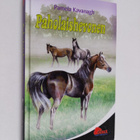 Pamela Kavanagh : Paholaishevonen - pikkukuva 1