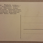 Rauma: Kauppatori *** (907) - pikkukuva 2
