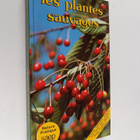 Les Plantes sauvages comestibles et utilitaires - pikkukuva 1