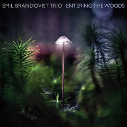 Emil Brandqvist Trio - Entering The Woods (CD)