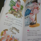 Hanhiemon iloinen lipas - Kirsi Kunnas - 26.p.2003 - pikkukuva 5