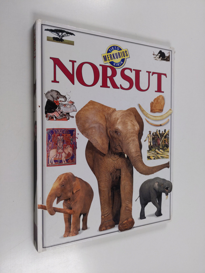 Ian Redmond : Norsut