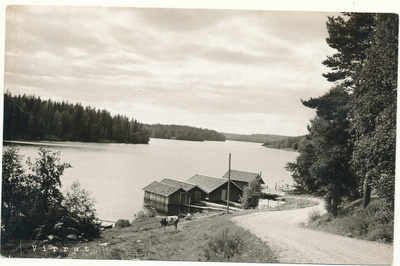 VIRRAT - vanha kortti